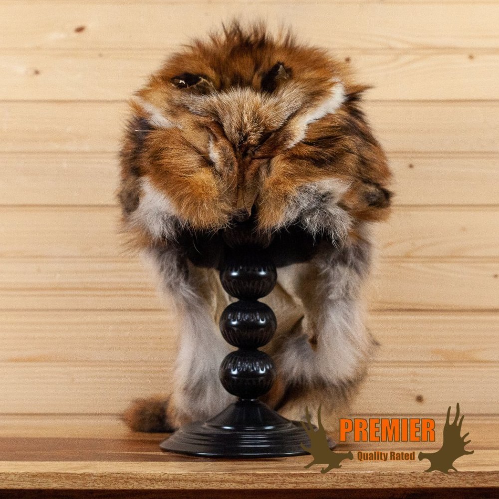 Premier Red Fox Hat